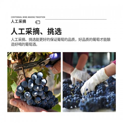 经典干红葡萄酒 13度红酒葡萄酒 