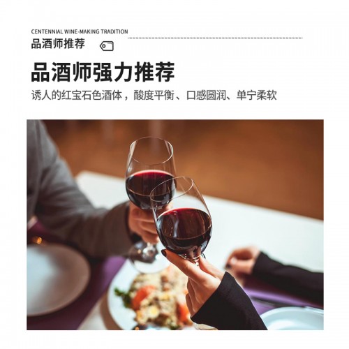 经典干红葡萄酒 13度红酒葡萄酒 