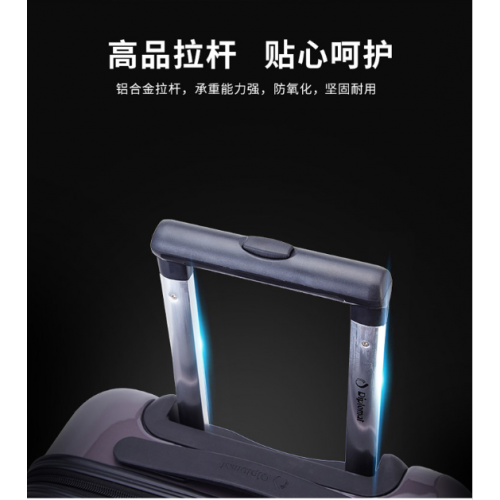 外交官_商务休闲拉杆箱  20寸登机箱 (ABS+PC)